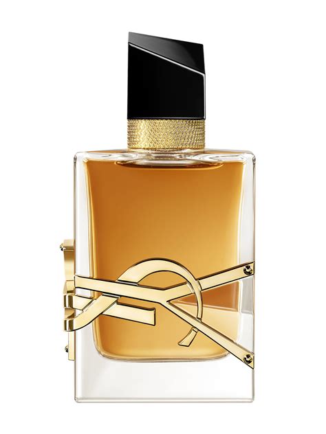 ysl y woman